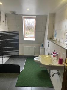 La salle de bains est pourvue d'un lavabo, de toilettes et d'une douche. dans l'établissement Zimmervermietung Abir, à Dresde