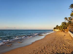 una playa de arena con palmeras y el océano en Alejandra, en San Juan