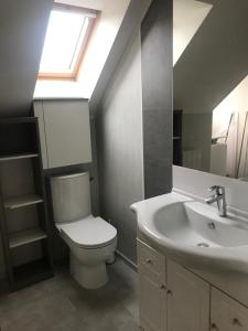 uma casa de banho com um WC, um lavatório e uma janela em Faimaison em Petit Vaux