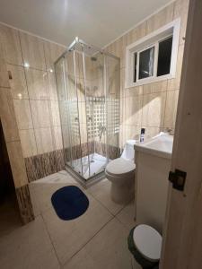 La salle de bains est pourvue d'une douche, de toilettes et d'un lavabo. dans l'établissement REFUGIO RIVER PUELO, à Puelo