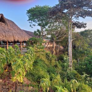 a view of a house with a grass roof at Ecohotel La Reserva in Piojó
