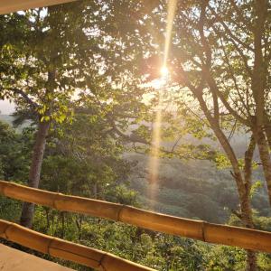 a view of the sun shining through the trees at Ecohotel La Reserva in Piojó