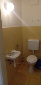a bathroom with a toilet and a sink at Levendula in Békéscsaba