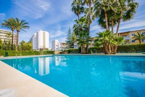 een zwembad met palmbomen en gebouwen bij Primavera in Port d'Alcudia