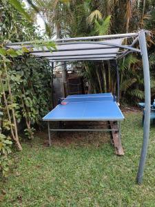 una mesa de ping pong azul sentada en el césped en Charmant studio dans le sud, idéal pour un couple, en Trois Mares-les Hauts
