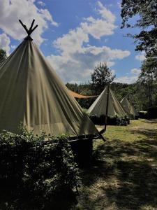 希尼的住宿－Camping Le Canada-Insolite，一组帐篷坐在田野里