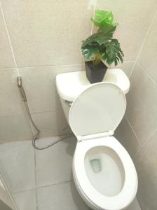 a bathroom with a toilet with a plant on the tank at AIRPORT VILLAMOR TRANSIENT ROOMS in Manila