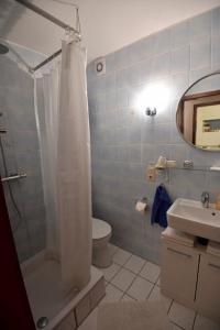 a bathroom with a shower and a toilet and a sink at Gästehaus Scholly in Saarlouis