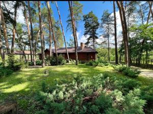 a house in the middle of a field with trees at База відпочинку «Павлоградець» in Orlovshchina