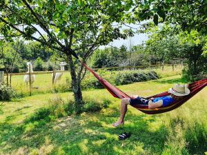 un uomo sdraiato su un'amaca sotto un albero di Loire Valley Llama Farm Stay a Lavernat