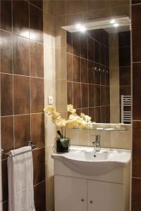 La salle de bains est pourvue d'un lavabo et d'un miroir. dans l'établissement Le Domaine du Thronnet, à Figanières