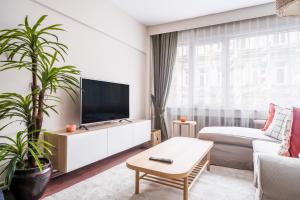 a living room with a tv and a couch at Centrally Locat in Istanbul