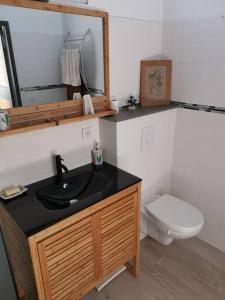 a bathroom with a sink and a toilet at Appart neuf classé 4*+ jardin St Gilles Bains in Grand Fond