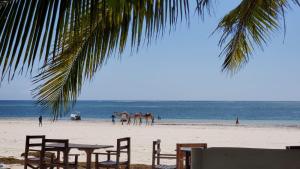 een tafel en stoelen op een strand met een groep paarden bij Charming and Remarkable 1 Bed Villa in Diani Beach in Diani Beach