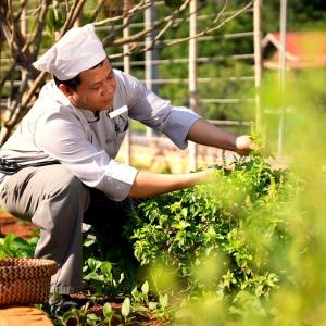 Гости Anana Ecological Resort Krabi - SHA Extra Plus +37 фотографий