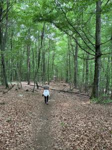 Hosté ubytování Quadambra Park