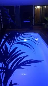 A l'Origine في ليل: حمام سباحة مع إضاءة زرقاء في المنزل