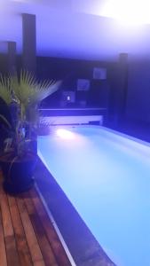 uma piscina com duas plantas num quarto em A l'Origine em Lille