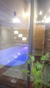 uma piscina com uma planta em frente em A l'Origine em Lille