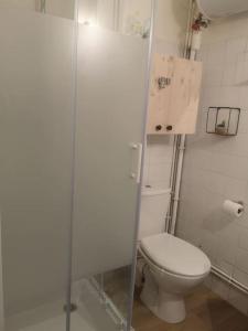 uma casa de banho com um WC e uma cabina de duche em vidro. em Appartement cosy au centre-ville de Toulouse em Toulouse