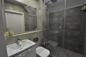 a bathroom with a shower and a sink and a toilet at Nadmorski Klif in Mechelinki