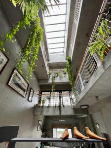 Fotografie z fotogalerie ubytování 綠空間民宿 v destinaci Magong