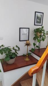 a staircase with two plants and a wooden railing at Gîte aux trois suites parentales et son jacuzzi 