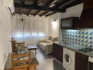 cocina y sala de estar con sofá y lavadora en Apartamentos Rurales El Zarzo, en Hervás