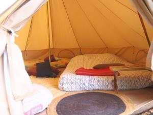 Un ou plusieurs lits dans un hébergement de l'établissement Tente Tipi en pleine forêt