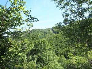 vistas a una montaña a través de los árboles en Tente Tipi en pleine forêt, en Burzet