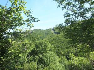 a view of a mountain through the trees at Tente Tipi en pleine forêt in Burzet