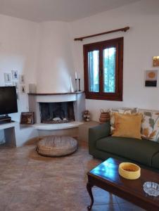 a living room with a couch and a fireplace at ZeusPlace Olympus Olive Country House 1 in Leptokaria