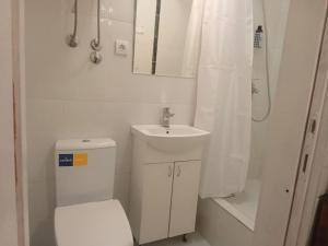 een badkamer met een toilet, een wastafel en een douche bij City Center Novi Sad in Novi Sad