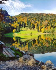 een uitzicht op een meer met bomen in het meer bij Panoramablick in Breitenwang