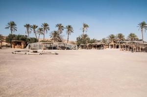 a large empty beach with palm trees and tents at Kfar Hanokdim - Desert Guest Rooms in Arad