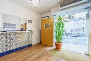 a potted plant in a room with a door at Hostal Austria in Granada