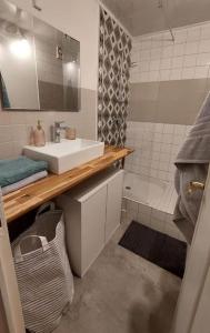 y baño con lavabo, espejo y ducha. en Studio cosy, en Lons-le-Saunier