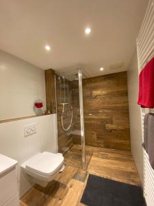 a bathroom with a toilet and a shower with wooden walls at Ferienwohnung Schwarzwaldglueck in Feldberg