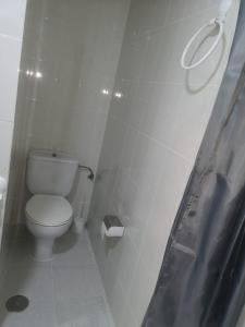 a white bathroom with a toilet and a shower at Hostal Conde de Lemos in Ponferrada