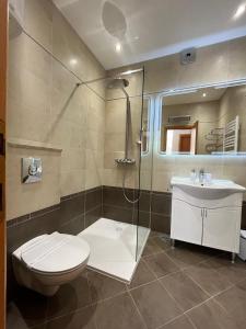 een badkamer met een douche, een toilet en een wastafel bij Apartman Stipić 1 in Baška Voda