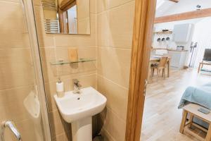 a bathroom with a sink and a toilet in a room at ELM HOUSE BARN - Converted One Bed Barn at the gateway to the Lake District National Park in High Hesket