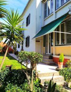 a house with a palm tree in front of it at Vila dos Castanheiros in Ferreira do Zêzere