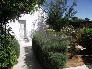 a garden with bushes and a white building at Lavender Rose in Bethulie