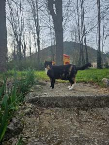 Zdjęcie z galerii obiektu Charmant studio Palais du Golf w mieście Sospel