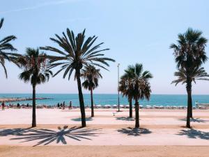 um grupo de palmeiras numa praia com o oceano em Hotel Orangine em L'Hospitalet de Llobregat
