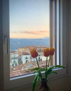 un jarrón con flores en una ventana con vistas en Casa vacanze the coste, en San Chirico Raparo