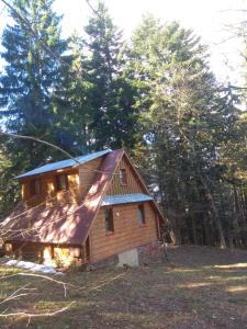 a log cabin in the woods with trees in the background at Roztomilá a utulná chata Azzy na samotě v lese. in Valašské Klobouky