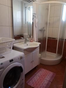Apartment Vjera Ližnjan في ليجيان: حمام مع غسالة ومغسلة