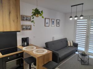 a living room with a couch and a table at Apartament Amelia in Zamość