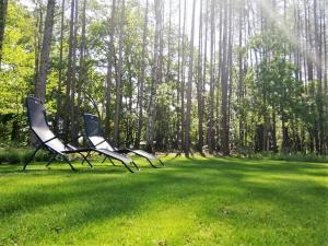 two chairs sitting in a field with trees in the background at Bungalow aan de Visbeekvallei in Vlimmeren